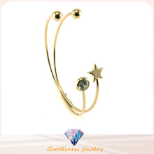 Cristal de plata de la estrella brazaletes y joyas pulsera (g41329)